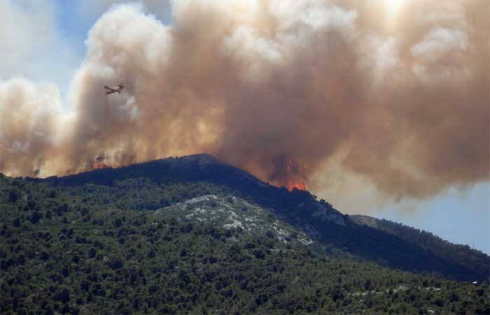 Incêndios florestais, poluição sonora e descompasso nos ciclos de vida são ameaças ambientais iminentes, diz ONU