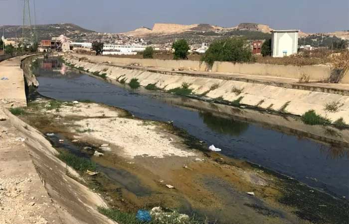 Contaminação de rios por remédios ameaça saúde mundial, diz estudo