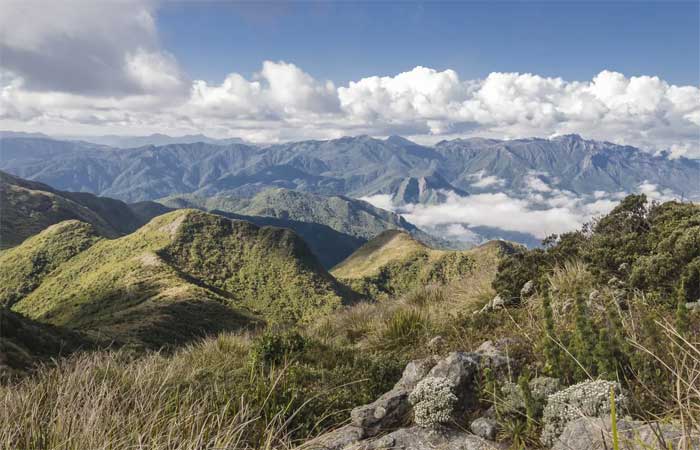 Plano quer restaurar 1,5 milhão de hectares na Serra da Mantiqueira