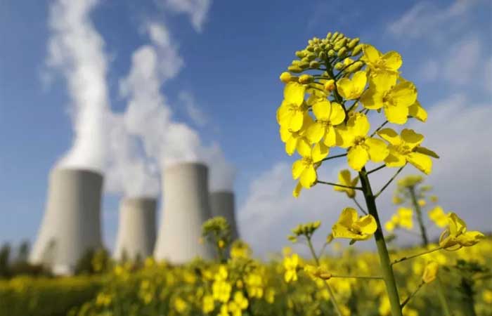 O polêmico plano da União Europeia de tratar energia nuclear como sustentável