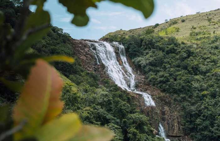 Panamá passa a reconhecer legalmente os ‘Direitos da Natureza’