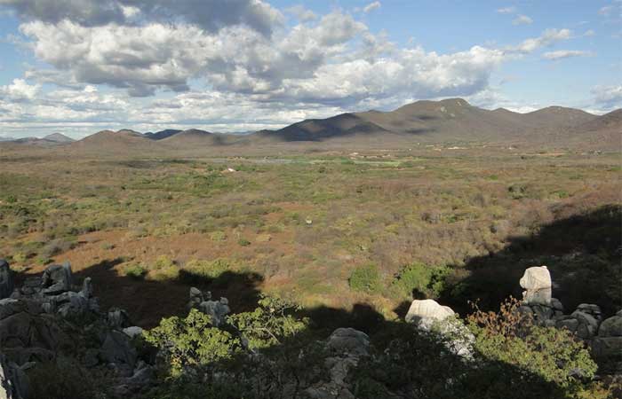 Estudo mapeia áreas prioritárias de restauração da Caatinga para salvar espécies da extinção
