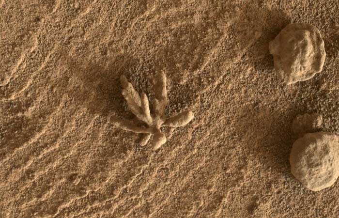 Flor de pedra é encontrada em Marte por robô Curiosity