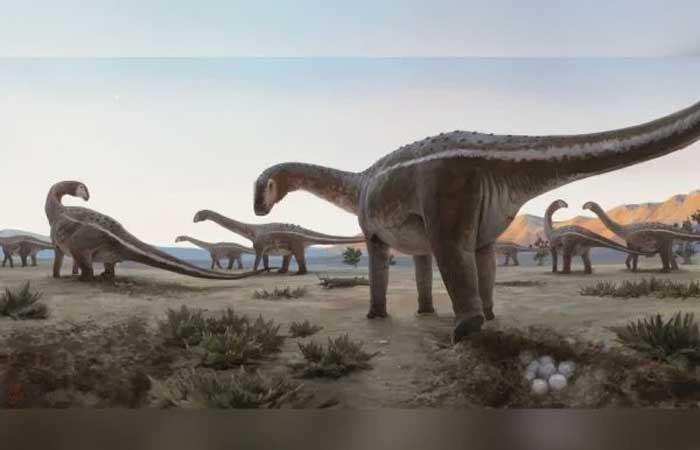 Cientistas encontram primeiro ninhal de dinossauros no Brasil