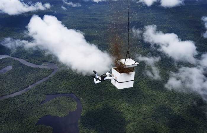 Paraquedista lança mais de 100 milhões de sementes na Amazônia