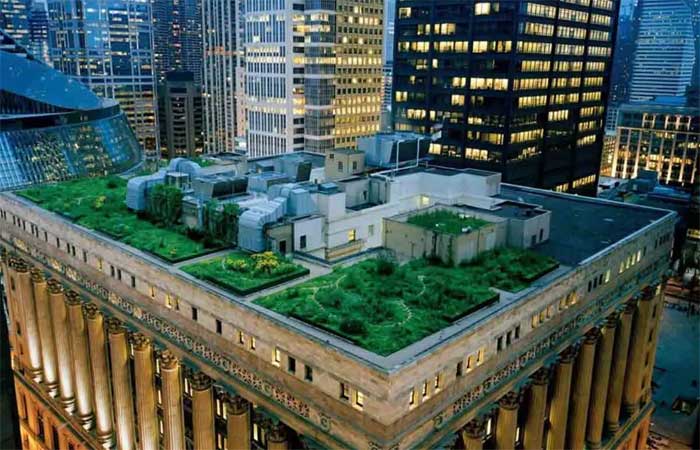 Telhado verde nas coberturas dos prédios para reduzir o calor nas cidades