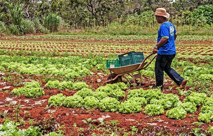 “O Brasil tem todas as condições para ser vanguarda na agroecologia”