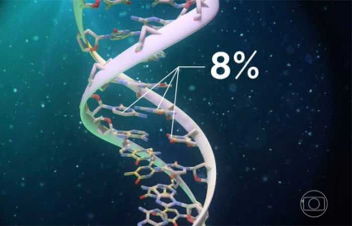Cientistas conseguem sequenciar, pela primeira vez, todo o genoma humano