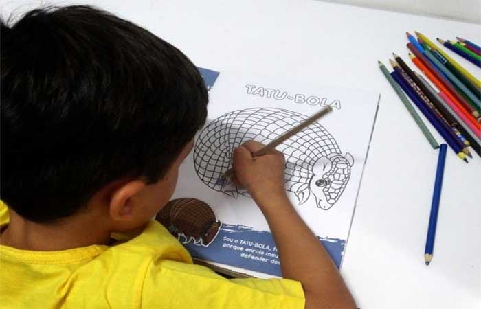 Livro infantil sobre a Caatinga está disponível online e gratuitamente