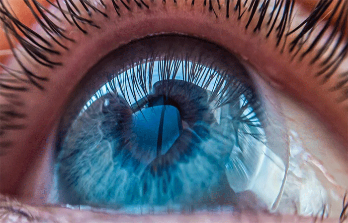 Pessoas de olho azul têm único ancestral que viveu há mais de 6 mil anos
