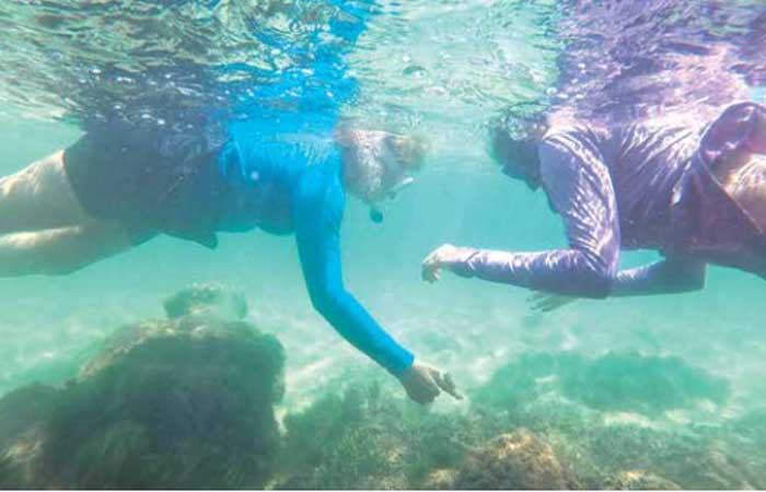 Projeto da UFPB vai restaurar corais