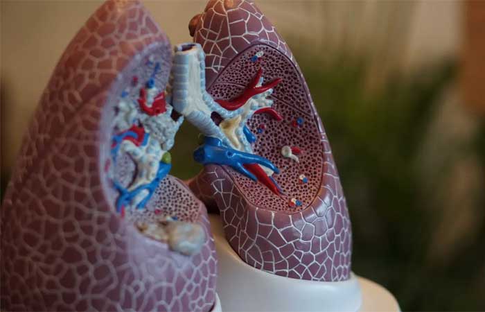 Cientistas encontram grandes quantidades de microplásticos nos pulmões de humanos