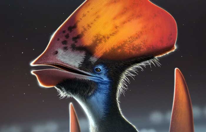 Pesquisa confirma que pterossauros tinham penas – e elas eram coloridas