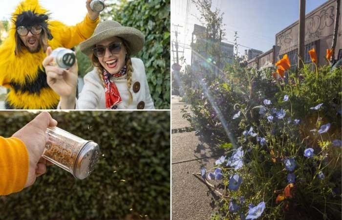 Casal espalha sementes de flores nativas pelas ruas de São Francisco