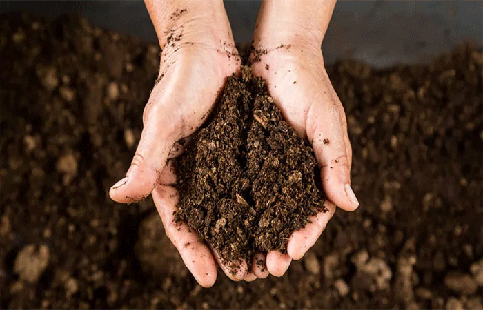 Você sabe por que é importante conservar o solo? Entenda e faça a sua parte