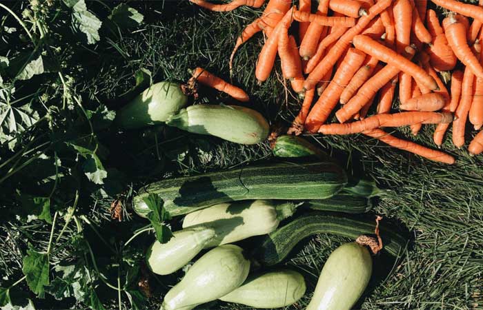 Vegetais crus ou cozidos: qual é a melhor versão para a saúde cardiovascular?