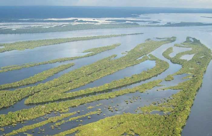 20% das águas da Bacia Amazônica já sofrem com altos níveis de impactos
