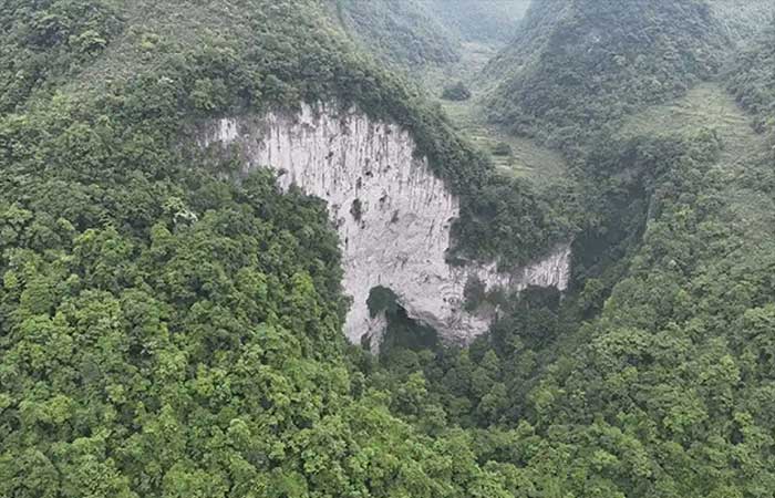Enorme floresta é descoberta em buraco com quase 200 metros de profundidade na China