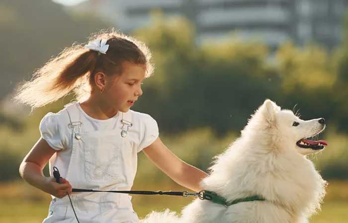 Conviver com cachorros na infância pode reduzir riscos de doença de Crohn