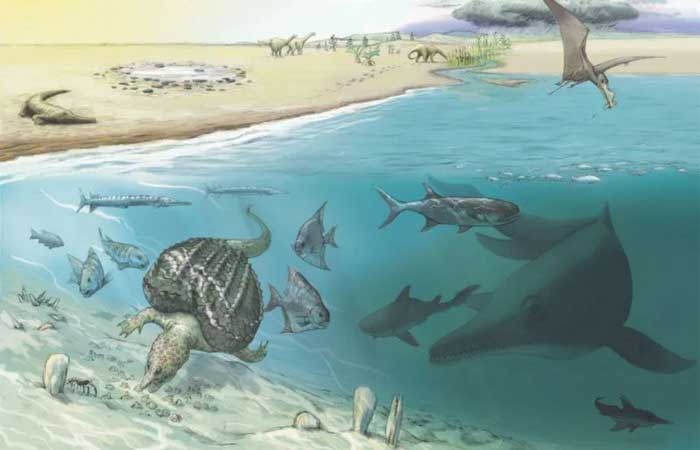 Fósseis de uma das maiores criaturas a habitar a terra são encontrados nos Alpes suiços