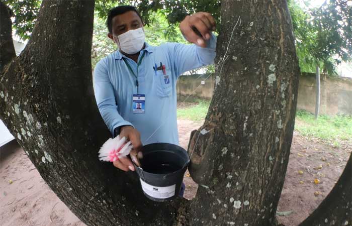 Natal usa a tecnologia para monitorar e detectar circulação do Aedes aegypti