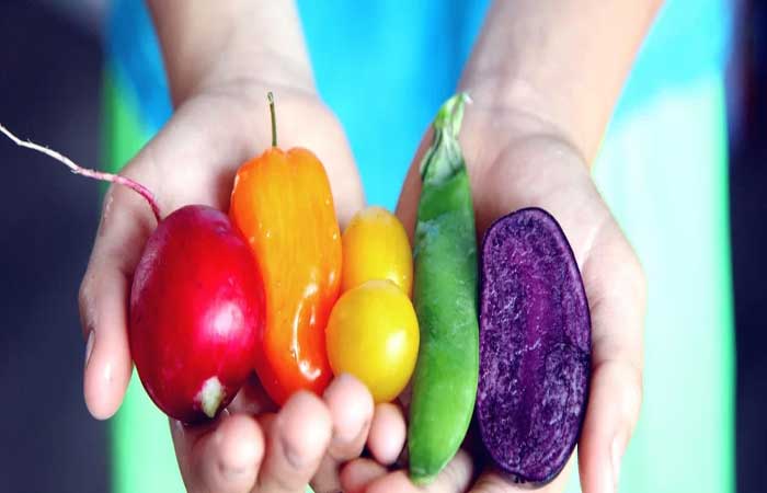 Vegetarianismo: conheça as diferentes dietas que valorizam as plantas