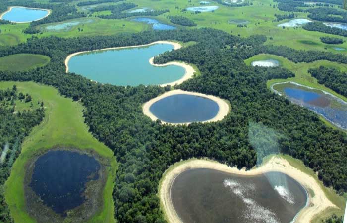 Maior zona úmida do mundo, o Pantanal corre risco de colapso
