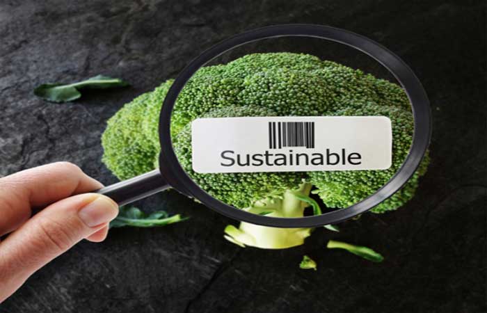 Dieta e meio ambiente: iniciativas por uma alimentação mais sustentável
