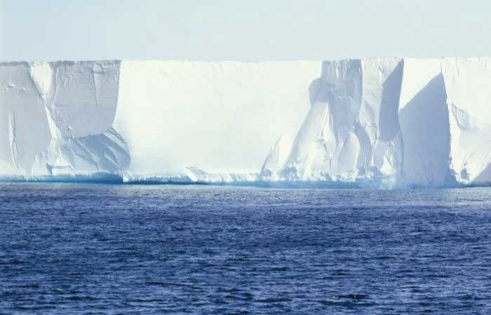 Pequenos animais levam à descoberta de “ecossistema secreto” na Antártida
