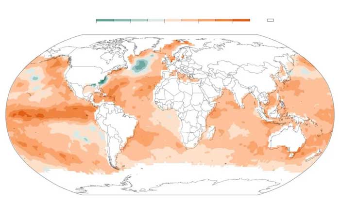 Sobrepesca, microplásticos até nos olhos dos peixes e aquecimento das águas: estamos sufocando os oceanos e mares