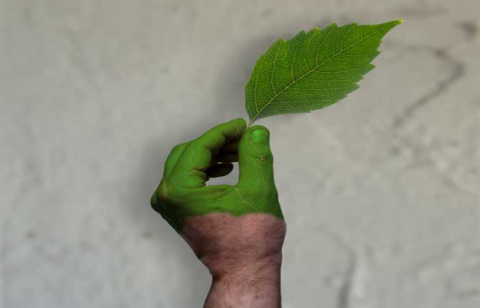 Greenwashing: entenda e identifique a falsa sustentabilidade