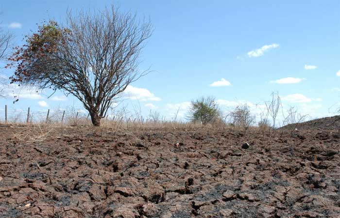Agreste paraibano se apoia na Agroecologia para conviver com a seca