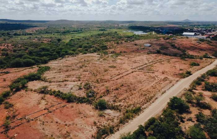 Caatinga foi terceiro bioma mais afetado pelo desmatamento em 2021