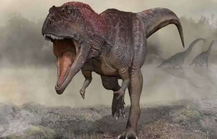Cientistas encontram pistas sobre mistério dos braços curtos do Tiranossauro rex