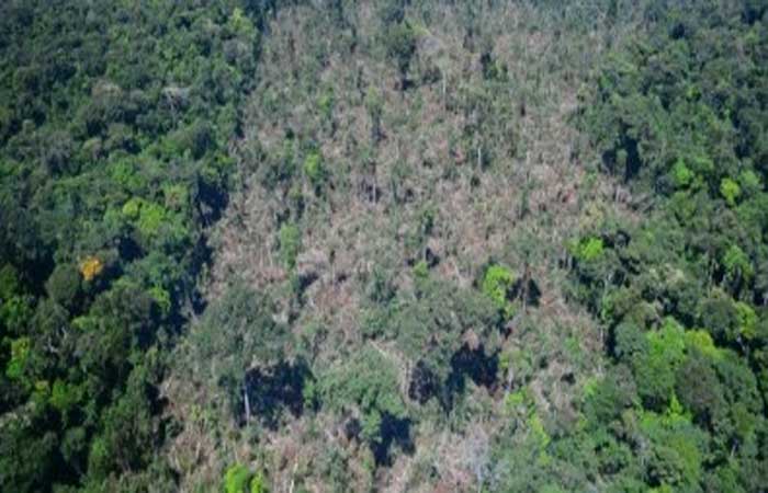 Amazônia: degradação da floresta remanescente pode emitir tanto ou mais carbono que o desmatamento