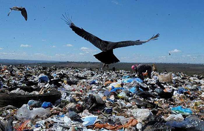O lixo e a reciclagem: fonte de geração de emprego, renda e preservação ambiental