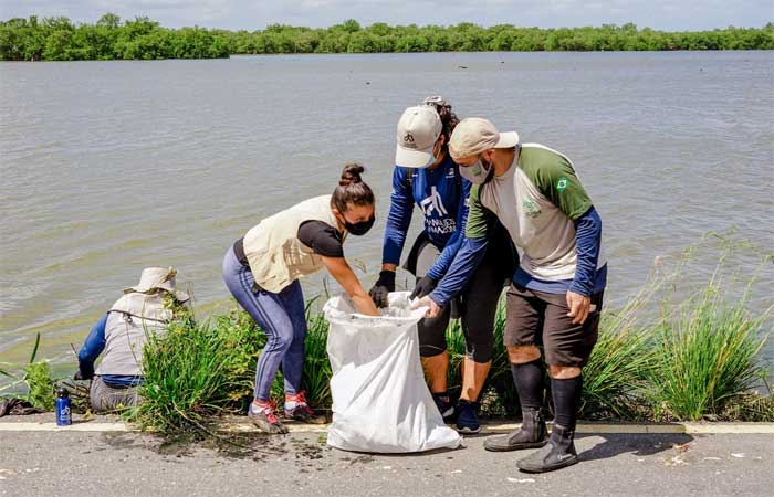 Mutirão de limpeza celebra manguezal no Pará