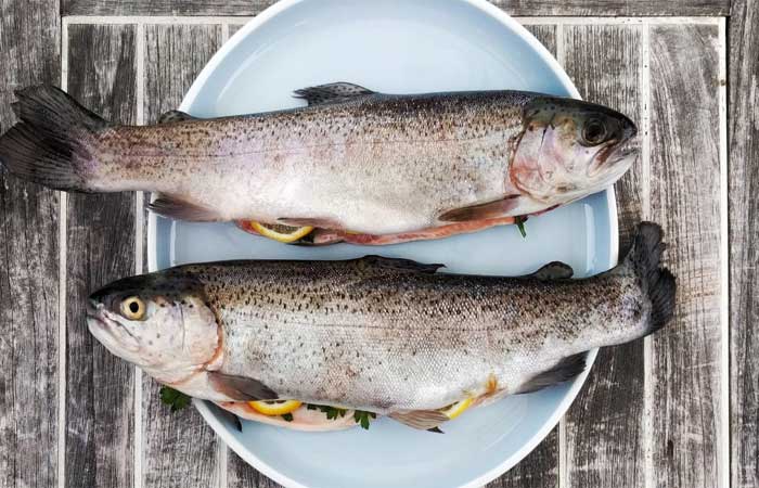 Estudo mostra relação entre consumo de peixes e maior risco de câncer