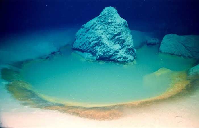 Pesquisadores descobrem raras piscinas de salmoura no Mar Vermelho
