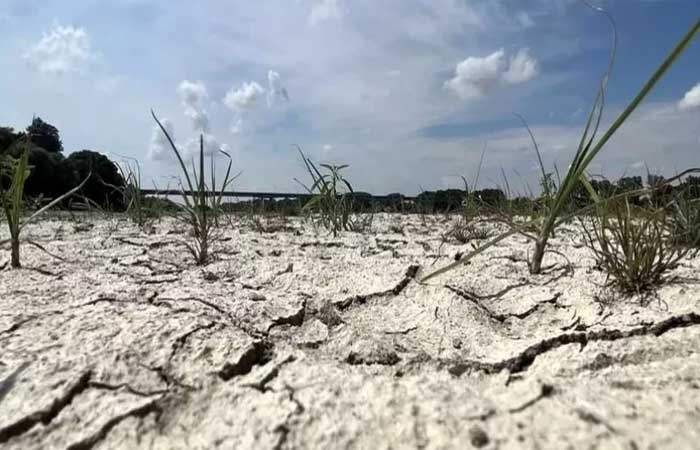 Com a pior seca dos últimos 70 anos, agricultores do norte da Itália temem pelo futuro da região