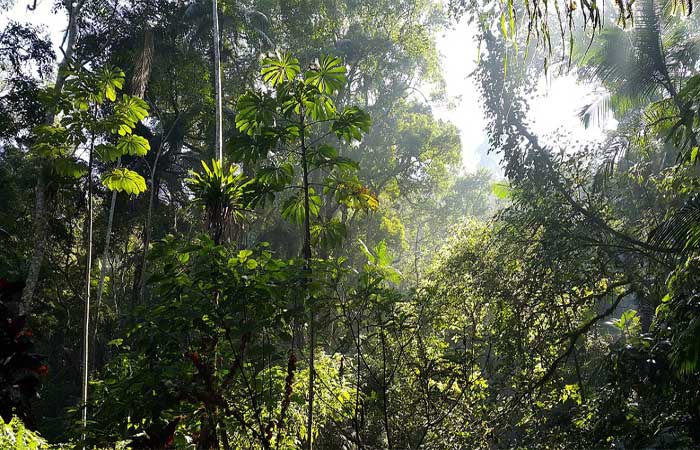 Espaços no entorno das serras paulistas vêm sofrendo degradação e necessitam maior proteção