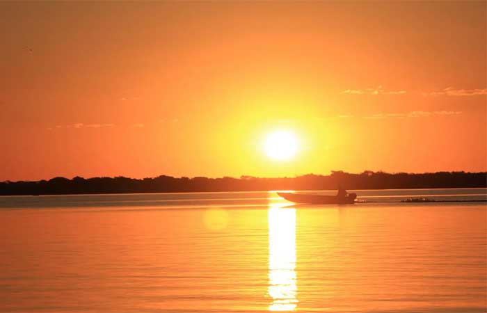 Cientistas caracterizam o que há de vida nas “lagoas de soda” do Pantanal