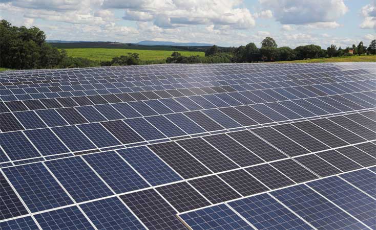 Swift e Seara ampliam uso de energia limpa com nova usina solar