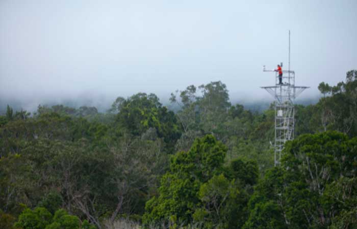 Projeto pioneiro que vai analisar impacto do CO2 atmosférico na Amazônia inicia testes