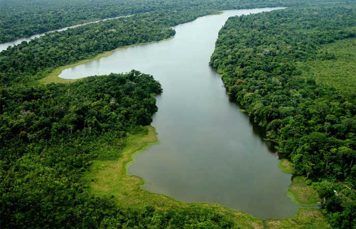 Por que lagos da Amazônia são tão importantes no combate ao aquecimento global?