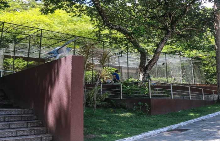 Secretaria Municipal do Meio Ambiente monta jardim de plantas medicinais e orquidário na Bica