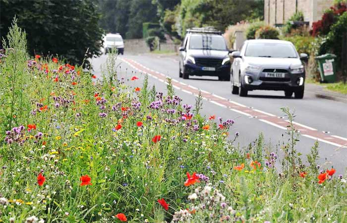Vila inglesa usa flores para combater o excesso de velocidade