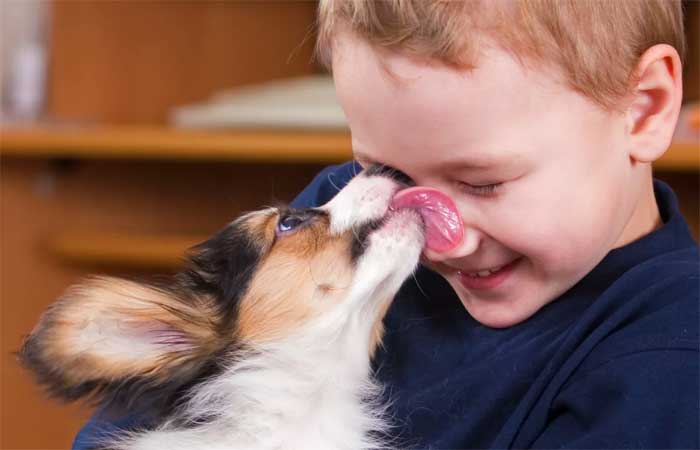 O melhor amigo das crianças: por que elas devem conviver com cachorros