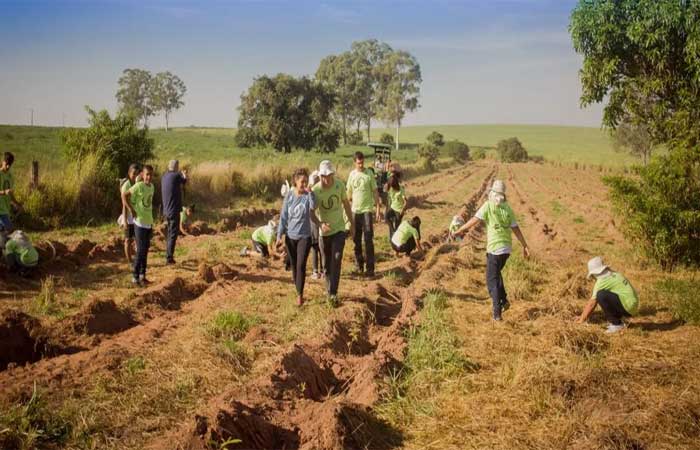Projeto Corredor Caipira indica melhores técnicas para reflorestar propriedades rurais