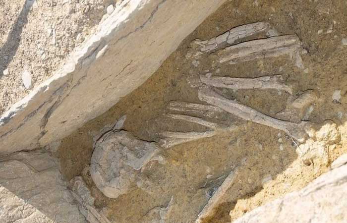 Necrópole pré-histórica com 18 túmulos é descoberta na Suíça